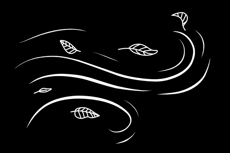 Propagation de l'oïdium par le vent