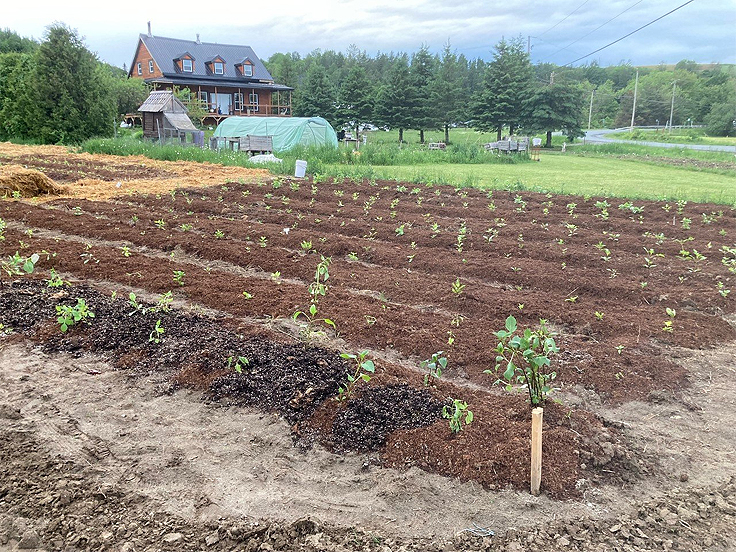 Rotation des cultures