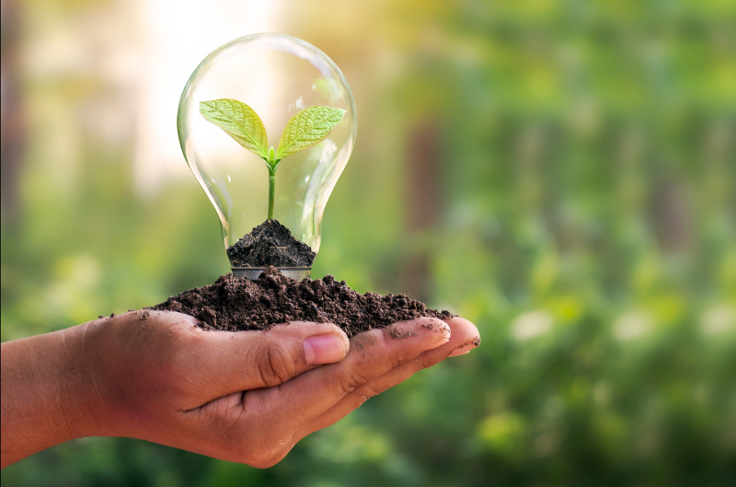 Semis et tapis chauffants