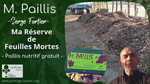 Paillis de feuilles mortes - Ma réserve