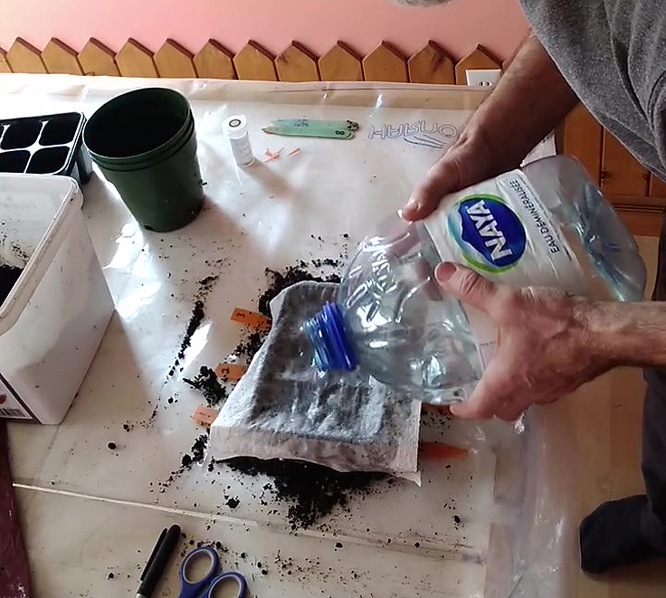 Arrosage selon la technique de Serge Fortier