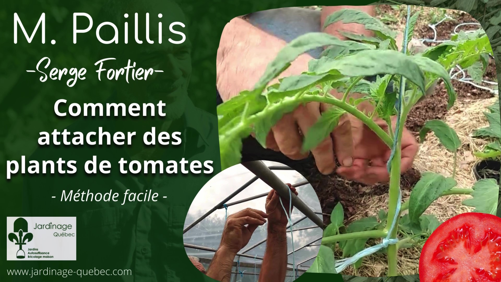Attacher des tomates