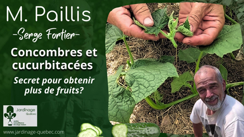Obtenir des fleurs femelles et fruits de cucurbitacées plus rapidement