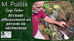 Arroser efficacement en période de sécheresse