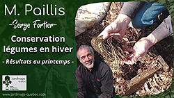 conserver ses légumes racines tout l’hiver sans chambre froide