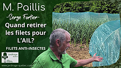 Ail- Quand enlever les filets anti-insectes
