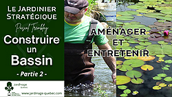 Entretien d'un bassin de jardin