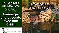 Cascade de bassin de jardin et mur d'eau - Idées d'aménagement