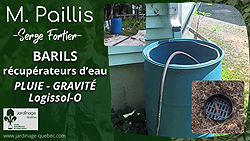 Baril récupérateur d'eau de pluie rempli par gravité