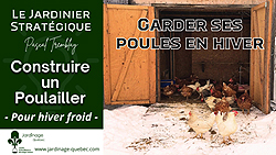 Poulaillers - Construire un poulailler pour garder ses poules en hiver