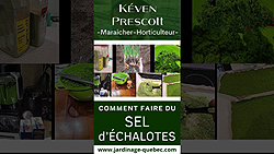 Récolter l'échalote Sainte Anne et fabriquer un sel d'échalote maison