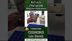 Semis d’oignons intérieur facile, méthode efficace pour plants vigoureux et productifs