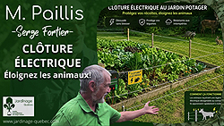 Comment installer une clôture électrique pour protéger son potager des animaux