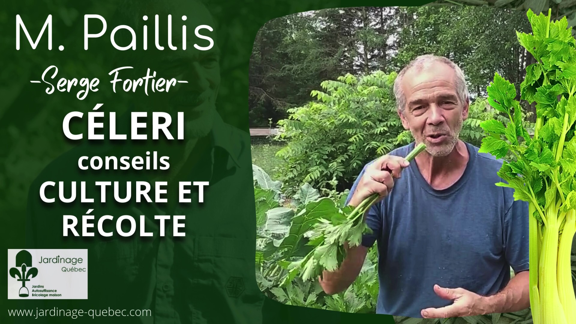 Le Céleri