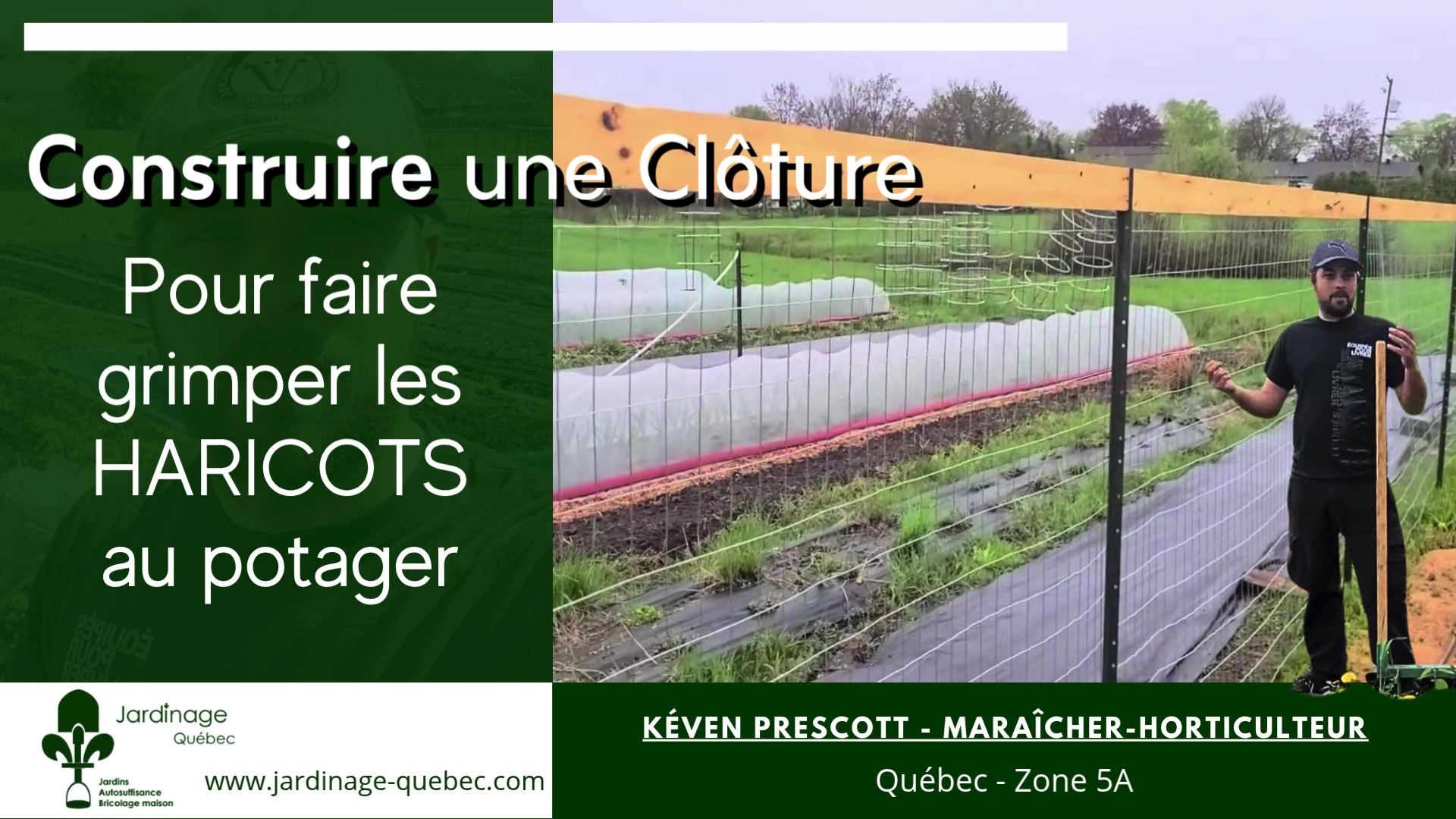 Clôture pour haricots graimpants