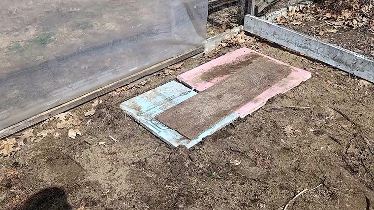 Méthode pour conserver les patates de semences et bulbes de glaïeuls en hiver