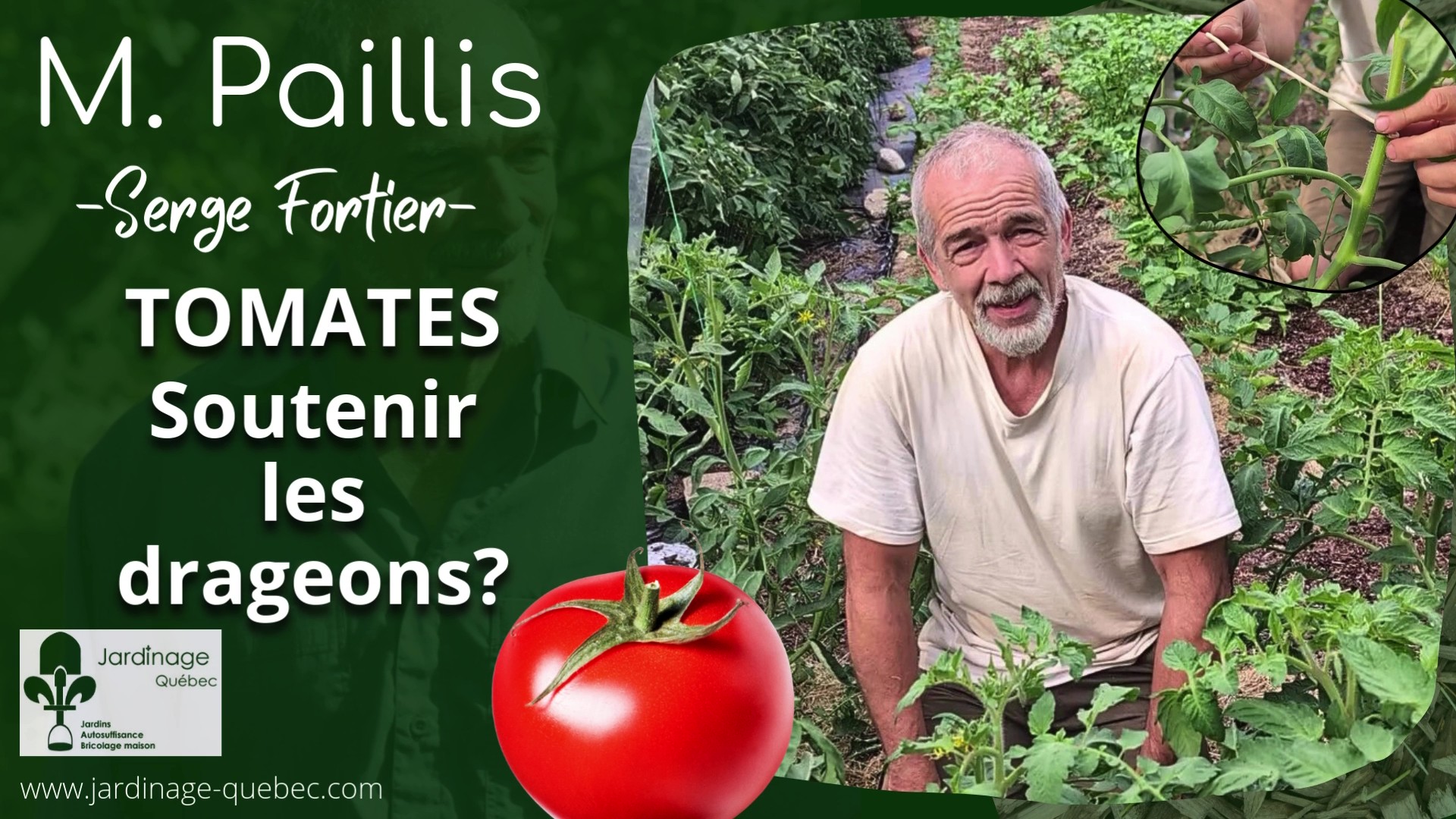 Comment attacher les tomates