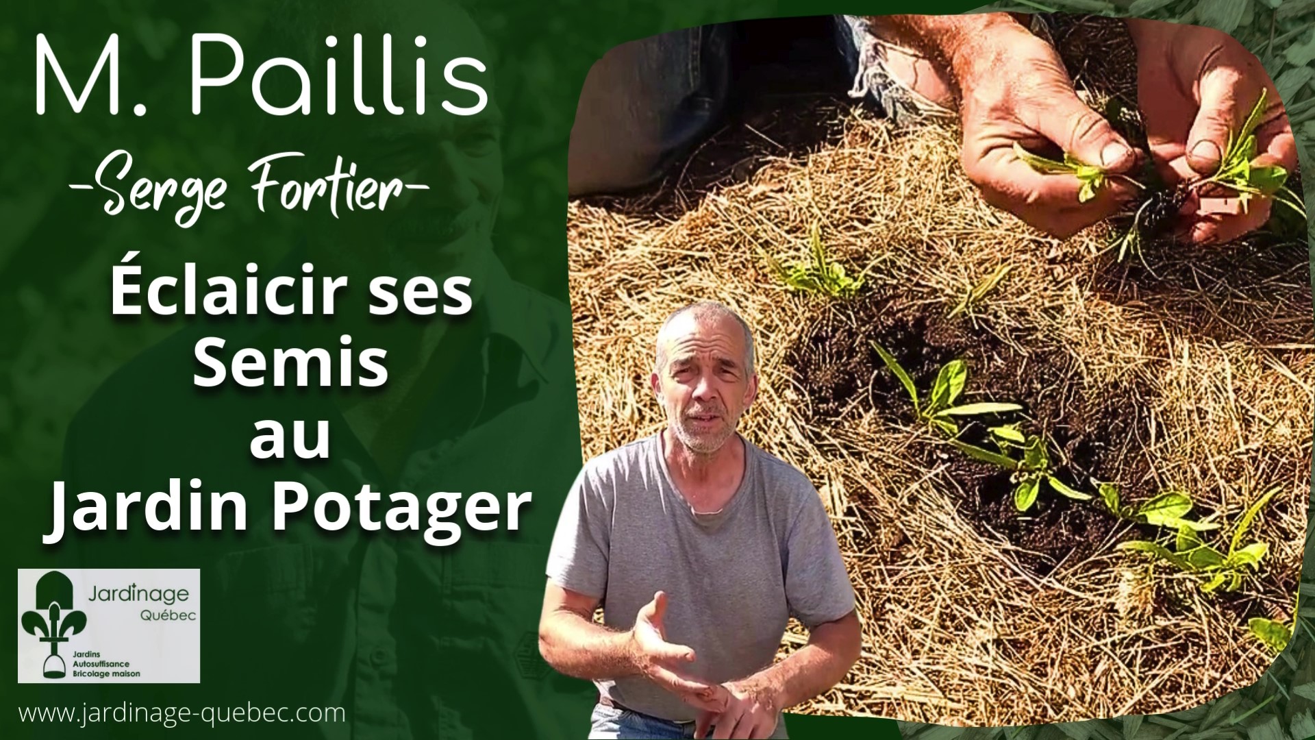 Éclaircir les semis au potager