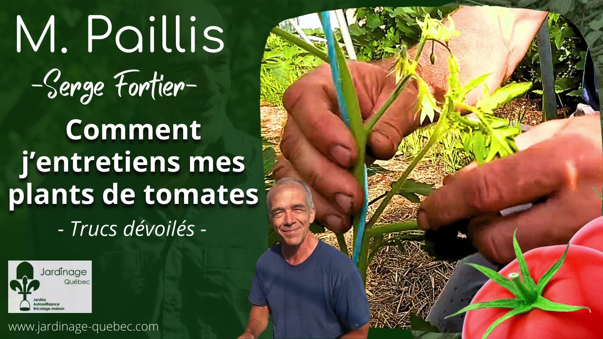Enlever les Gourmands sur les plants de tomates