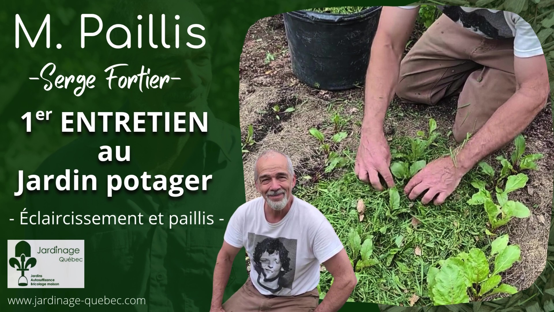 Premier entretien des betteraves et des carottes - Stratégies