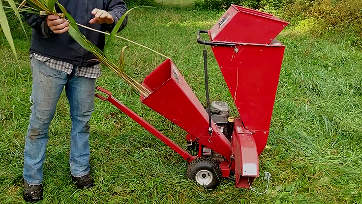 Utilisation d'une déchiqueteuse pour transformer le phragmite en paillis