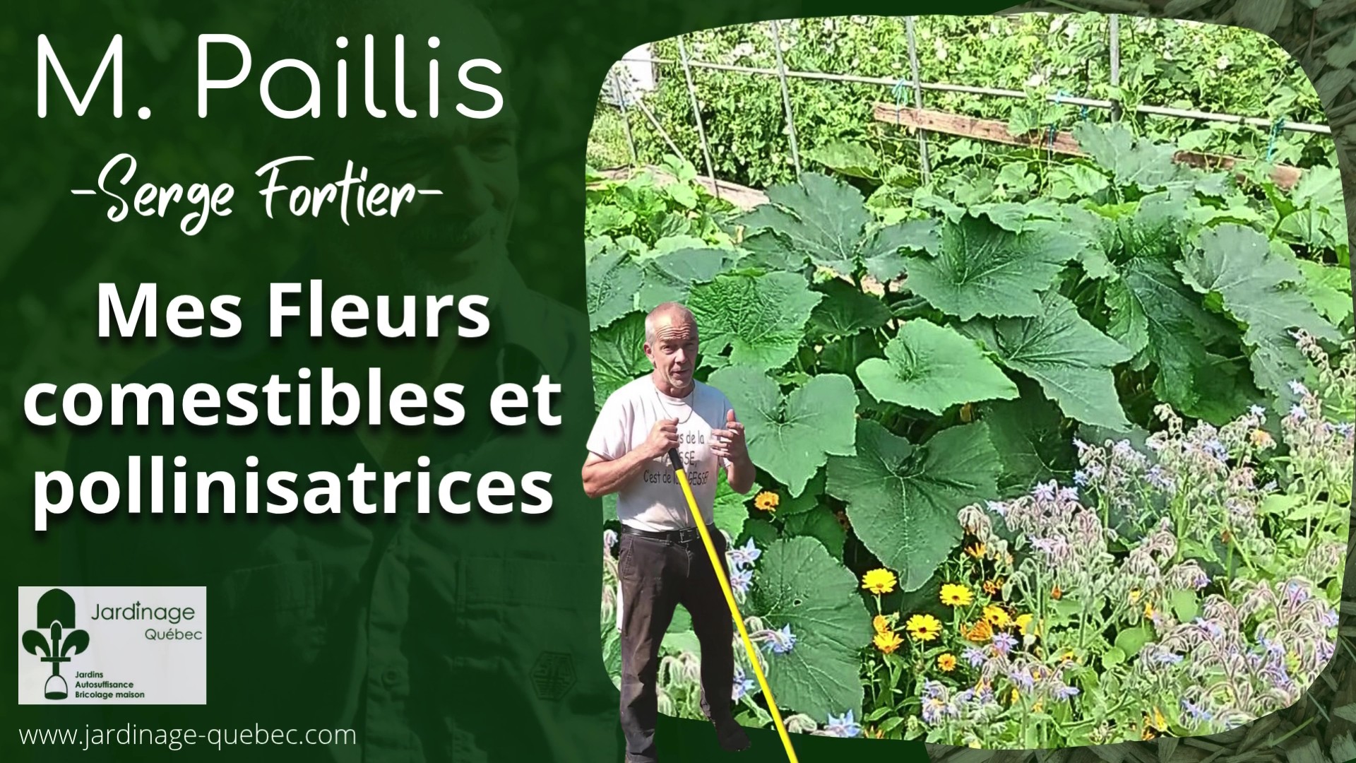 Fleurs comestibles pollinisatrices