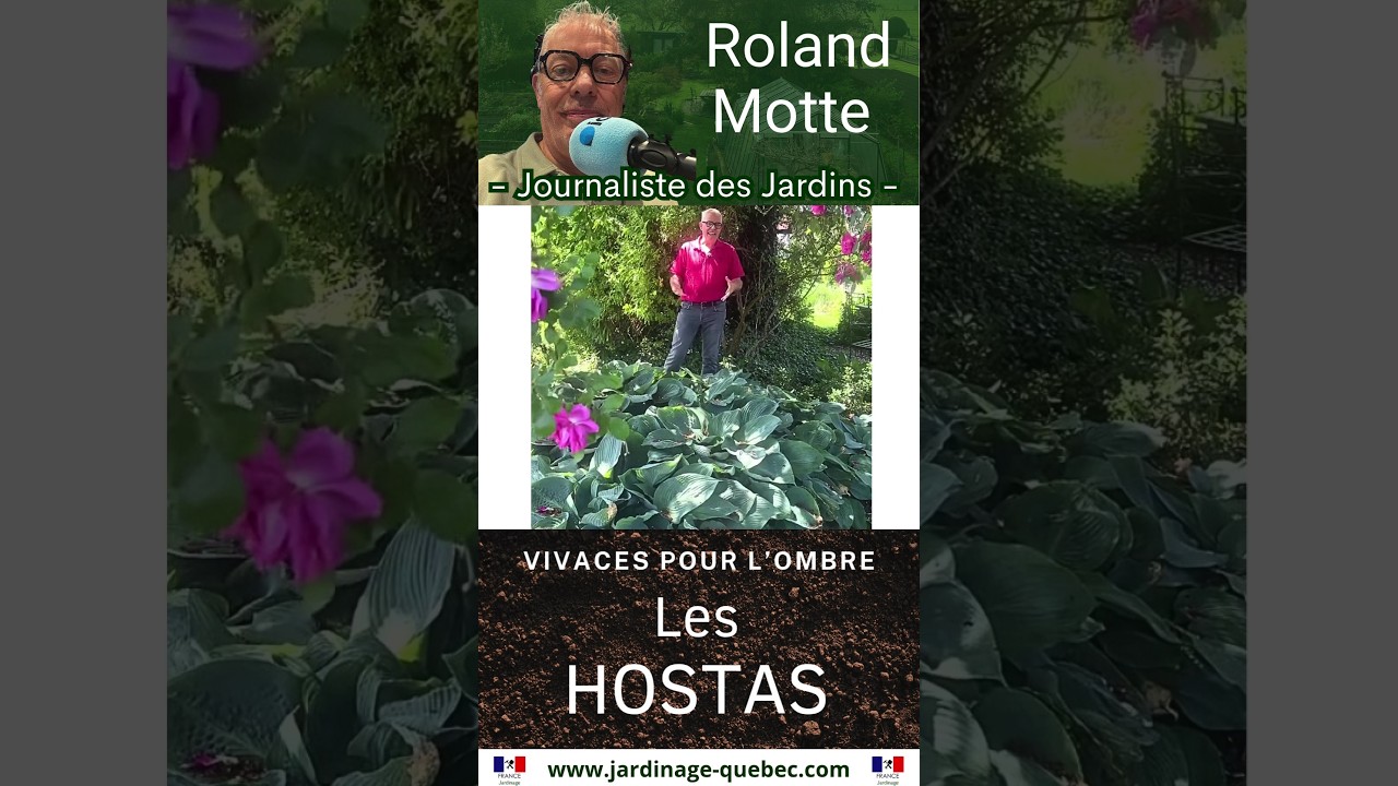 Découvrez les meilleurs hostas pour embellir durablement tous vos jardins ombragés