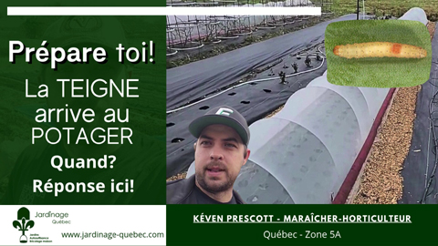 Quand se protéger de la teigne au jardin