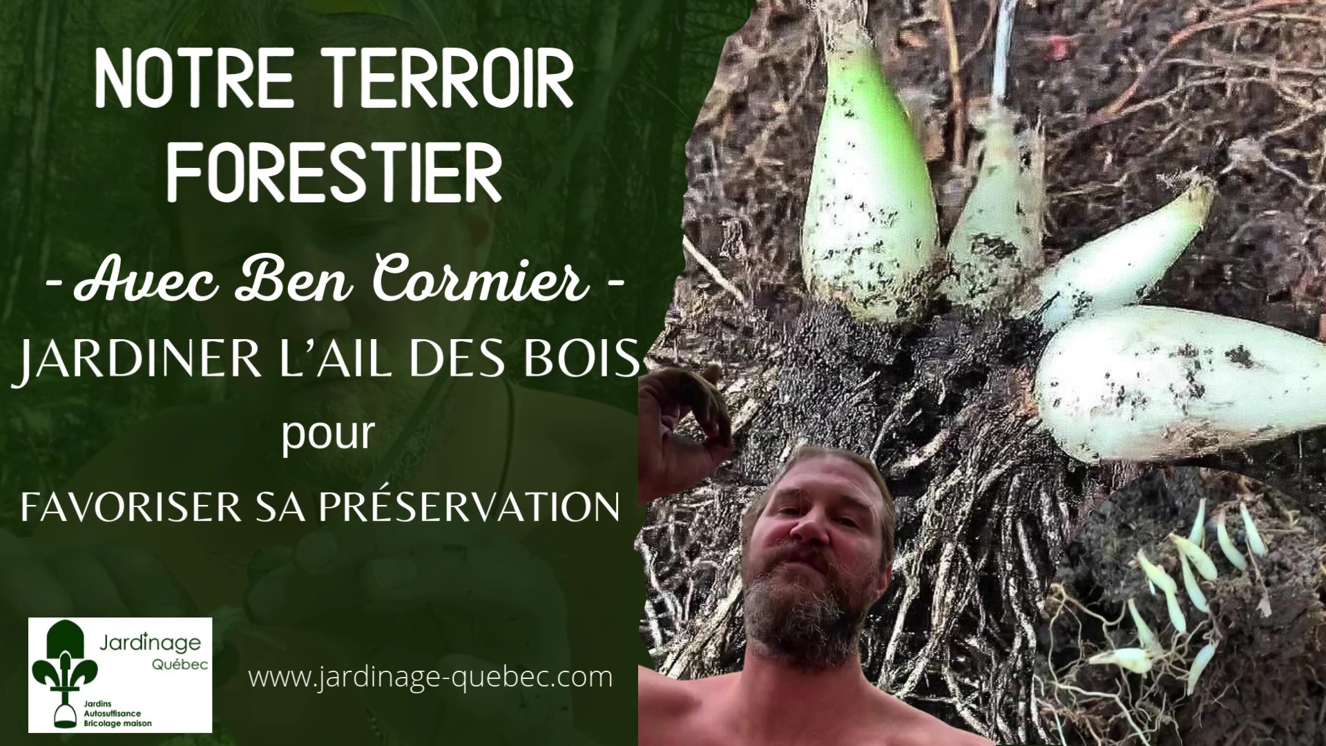 Ail des bois