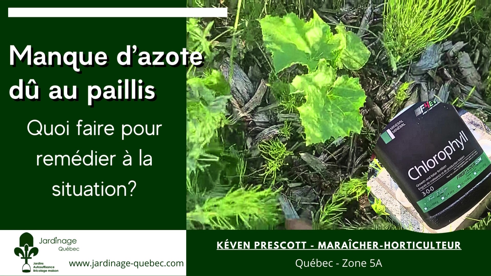 Manque d'azote