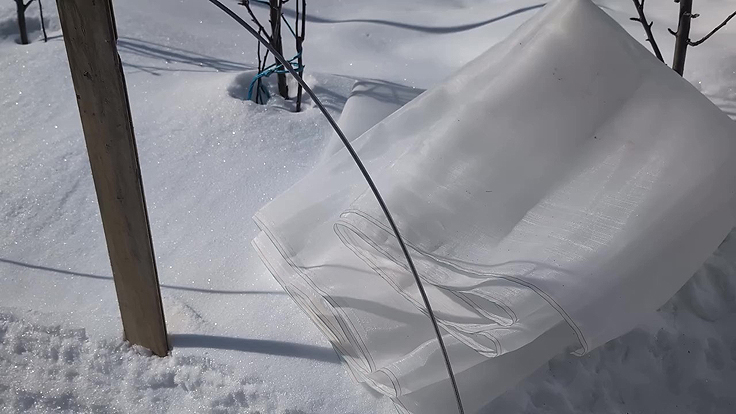 Filet anti-insectes prêt à être installé