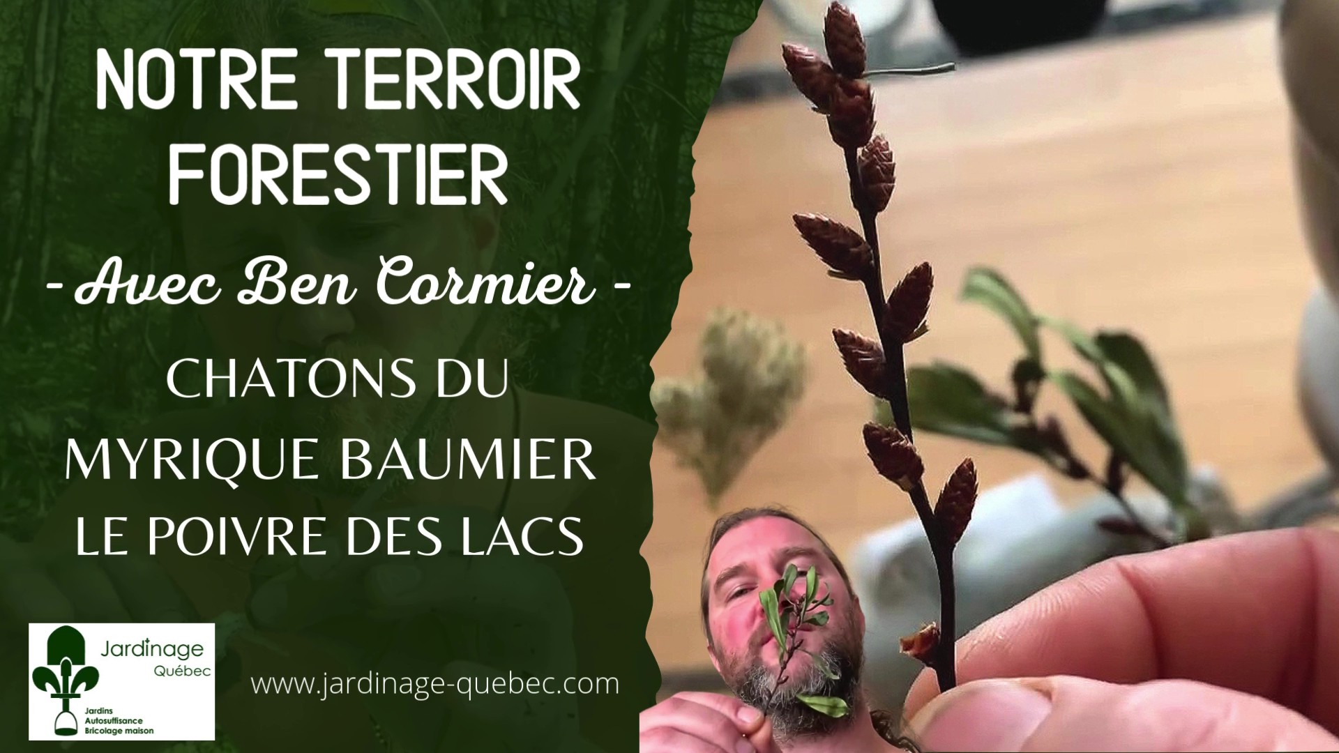 Myrique baumier