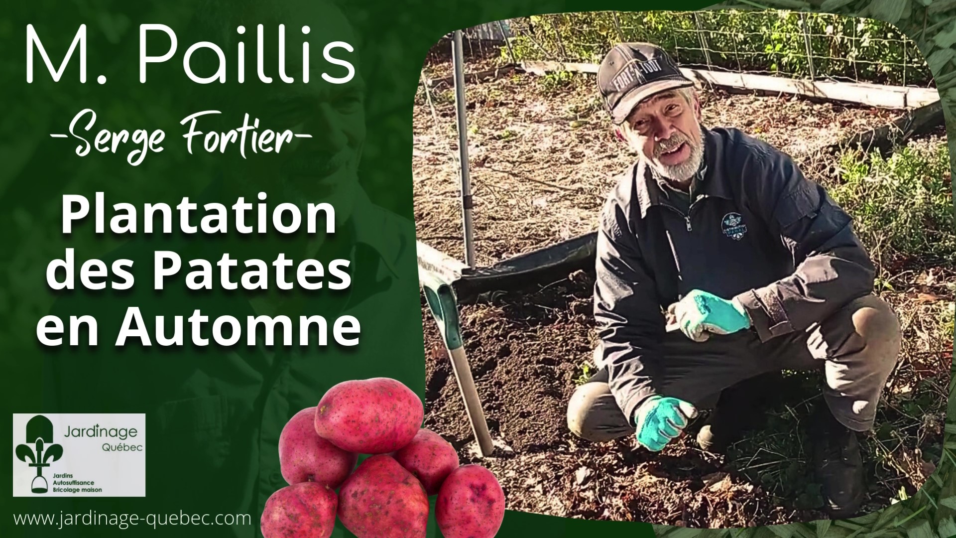 Planter des patates en automne