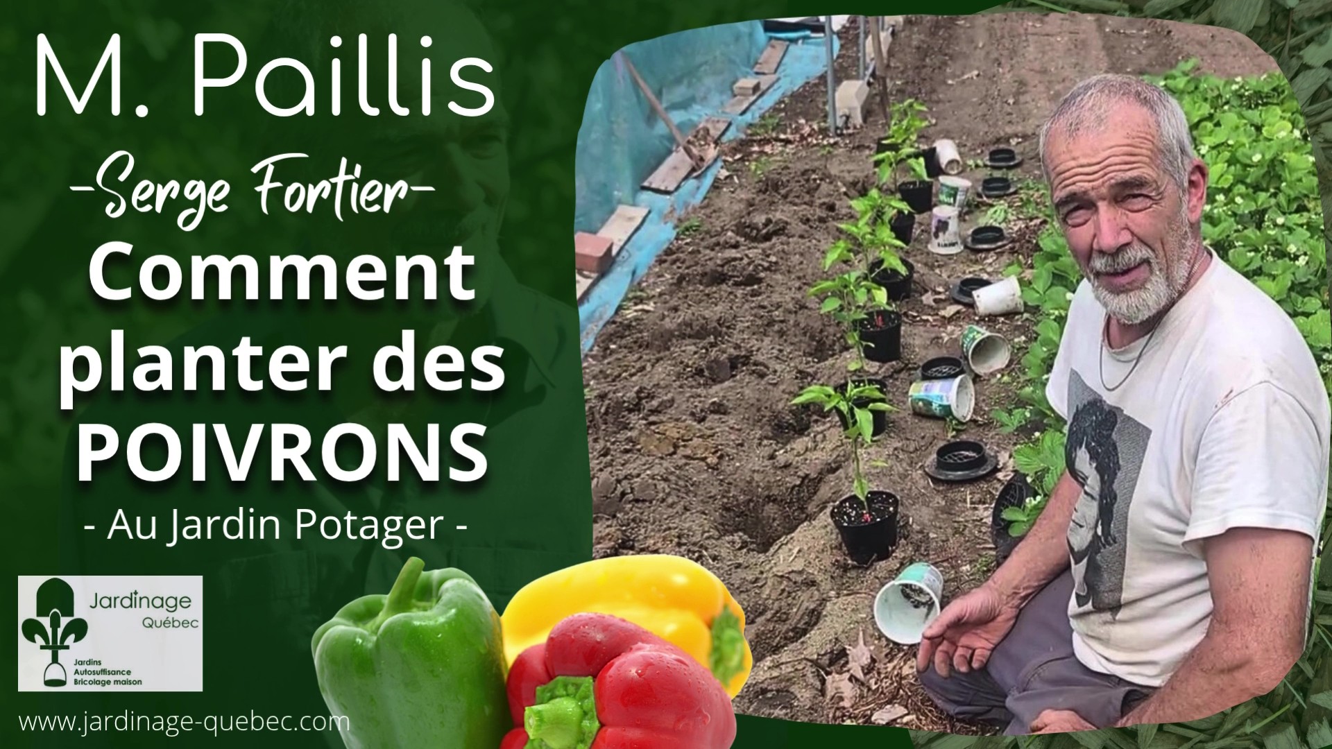 Planter des poivrons