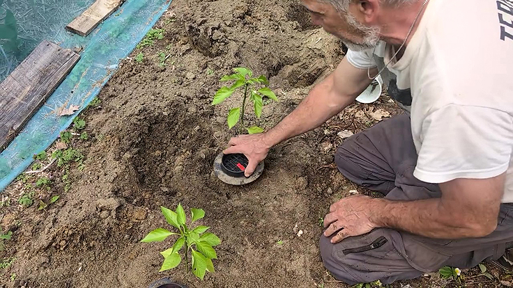 Installation du dispositif d'arrosage Logissol-O