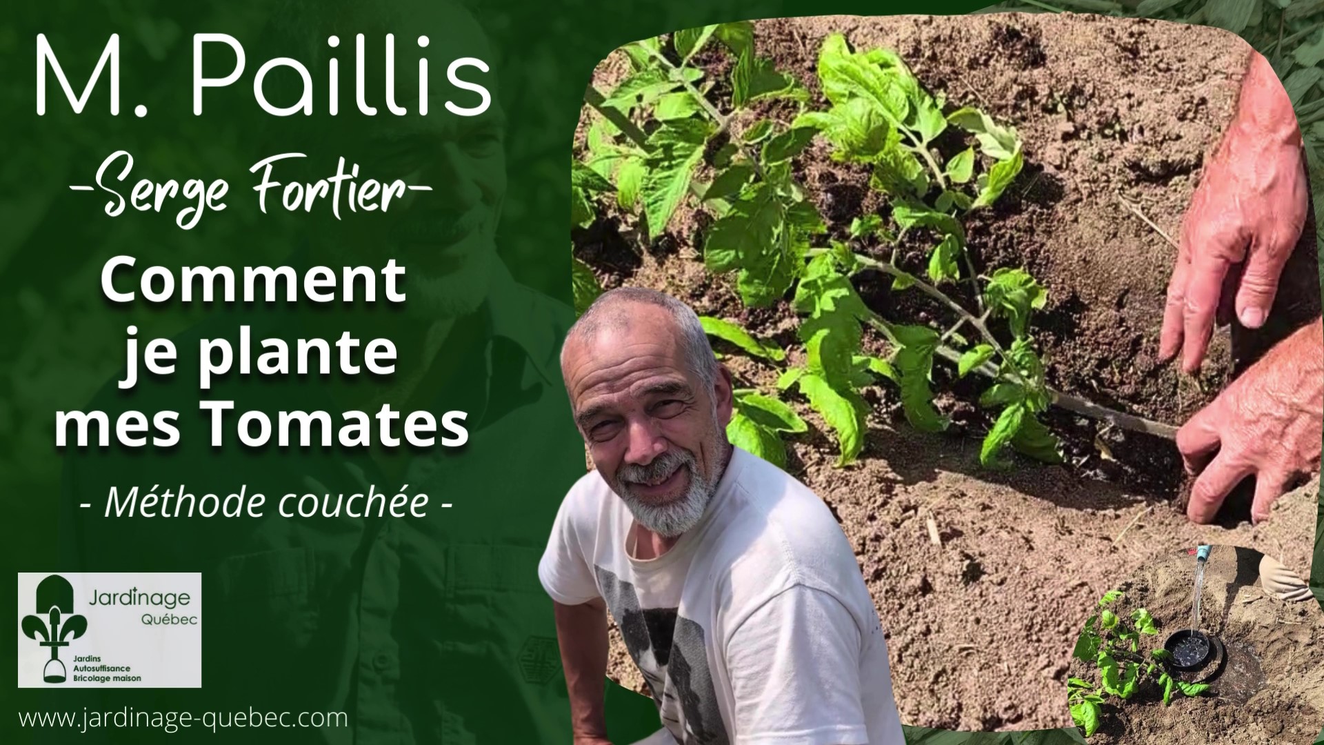 Planter des tomates