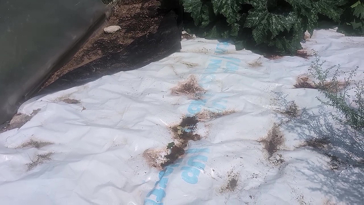 Toile d'occultation avec plantes aquatiques en dessous