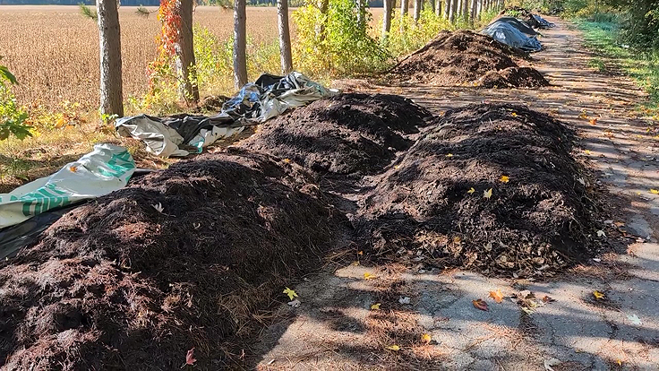Tas de compost avec plantes aquatiques