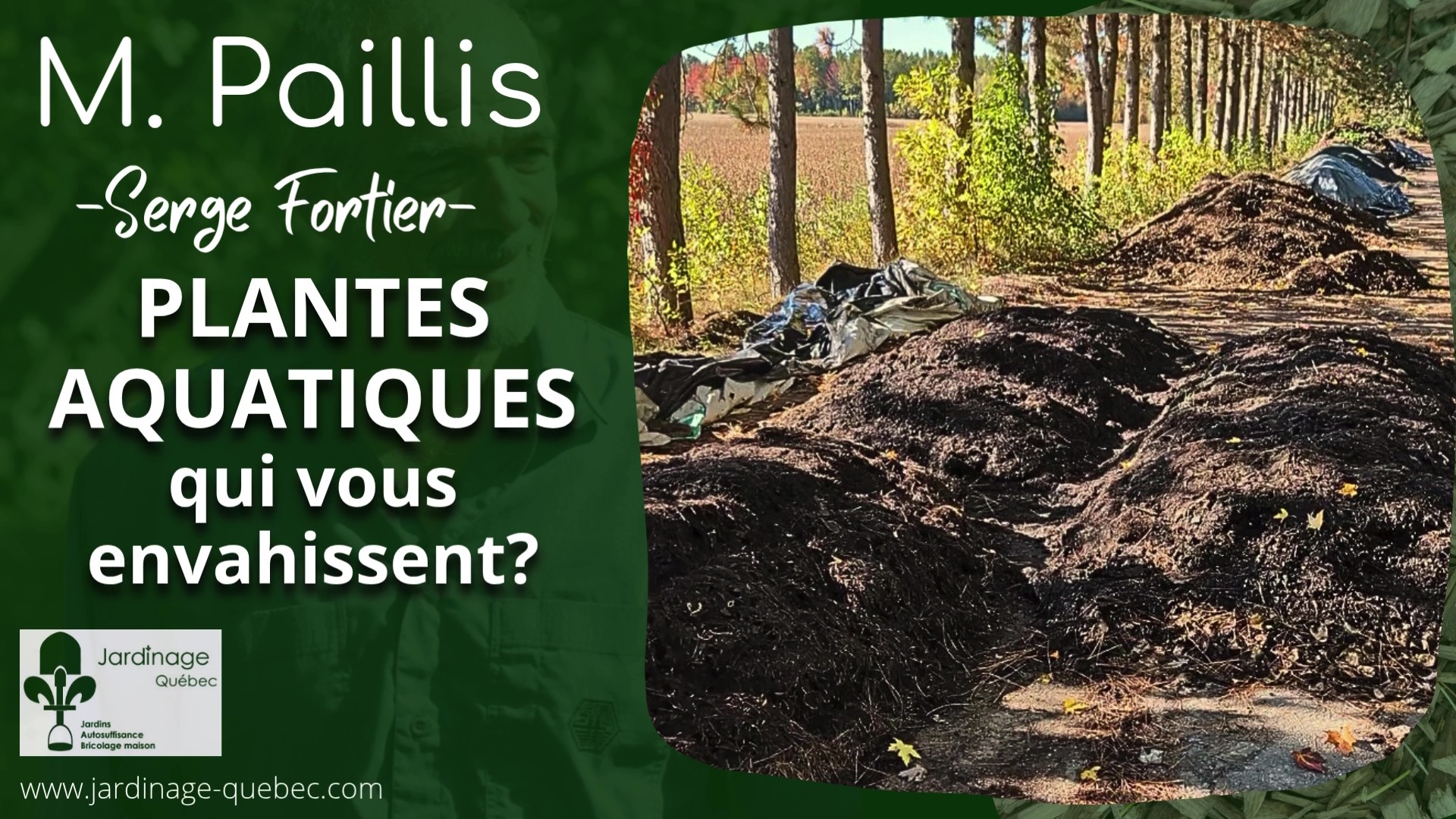 Plantes aquatiques envahissantes