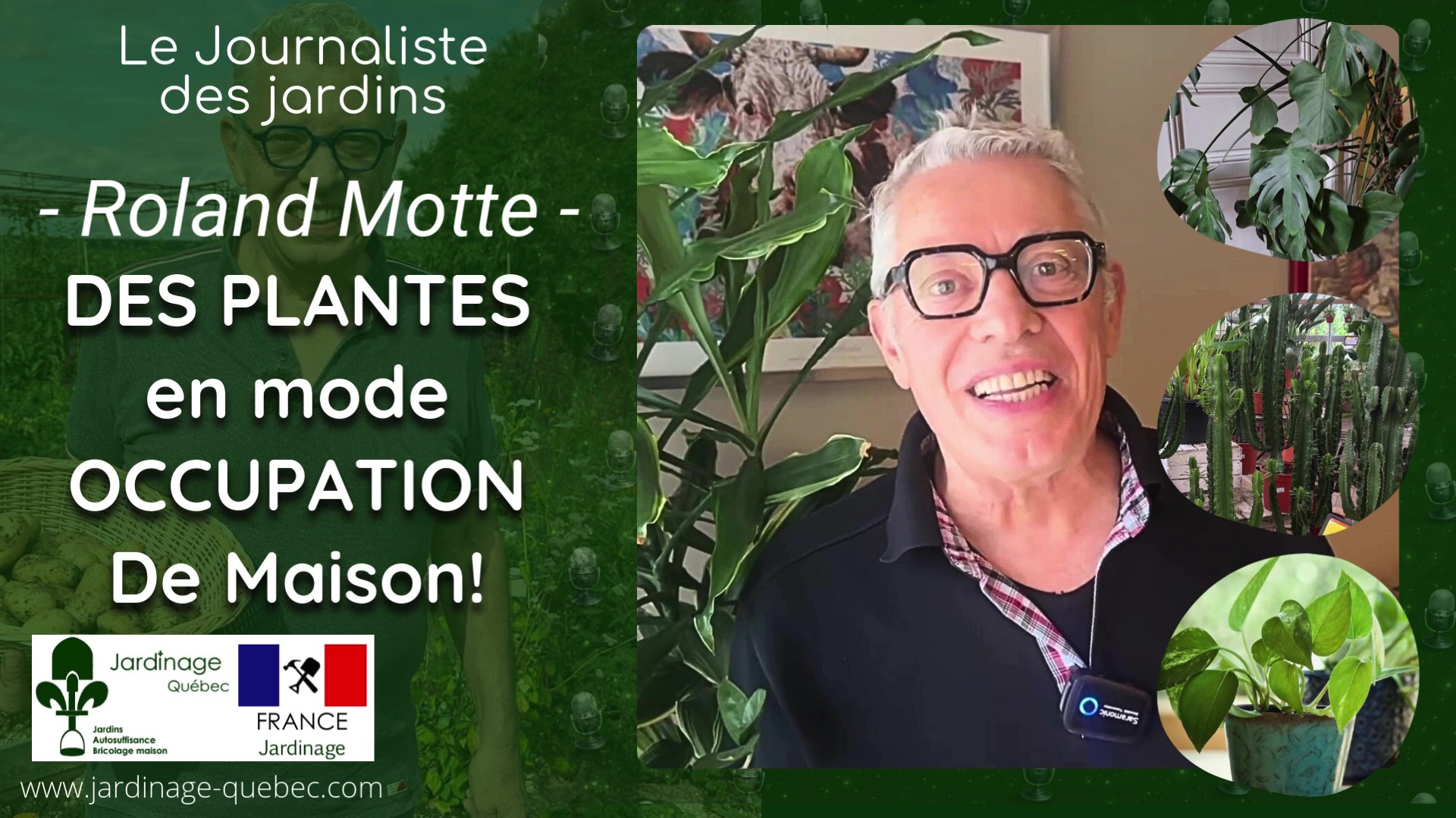 Plantes XXL d’intérieur : les meilleures grandes plantes pour créer une jungle urbaine chez soi