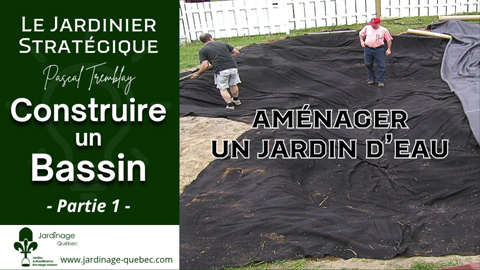 Bassin de jardin - Comment faire l'aménagement d'un grand jardin d'eau