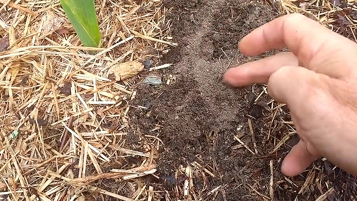 Un sol humide seulement en surface