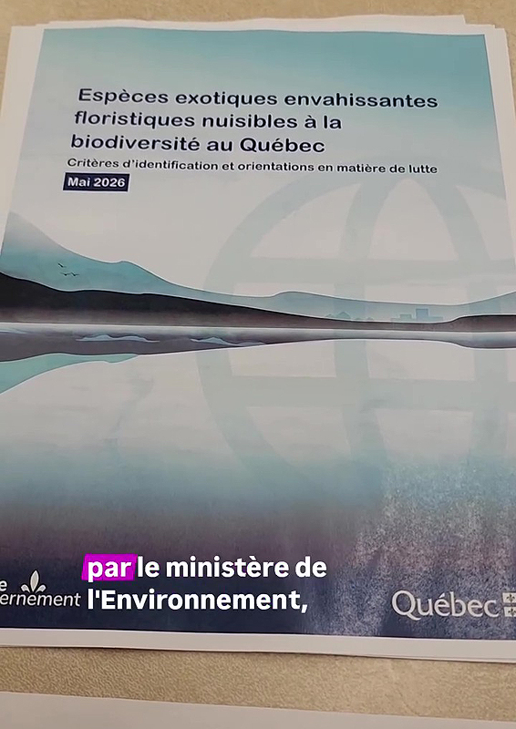 Un danger reconnu par le ministère de l'Environnement