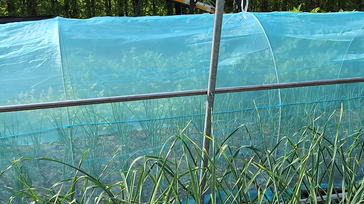 Filet anti-insectes pour la protection contre la teigne