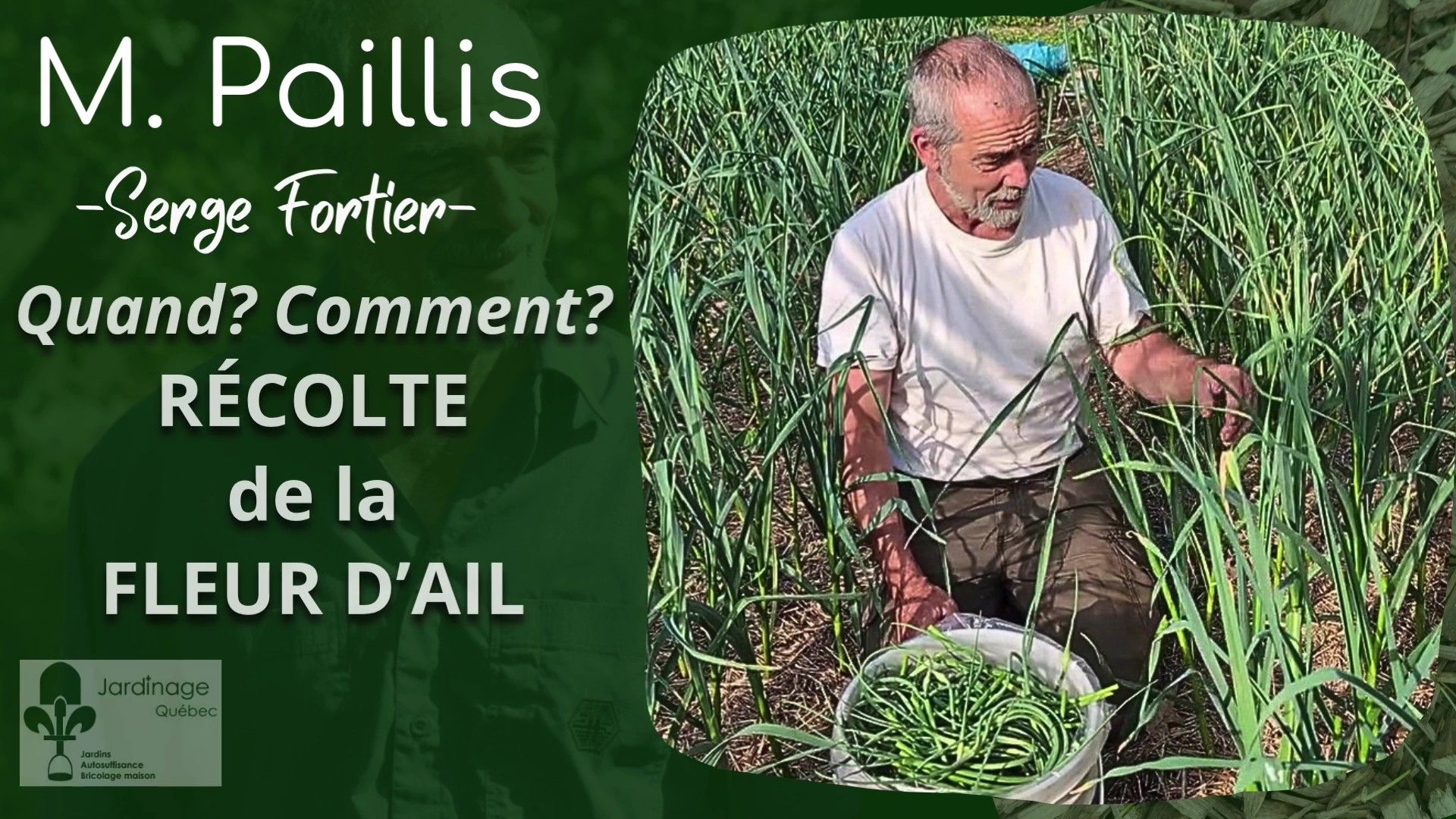 Fleur d'ail - Guide simple et efficace de récolte