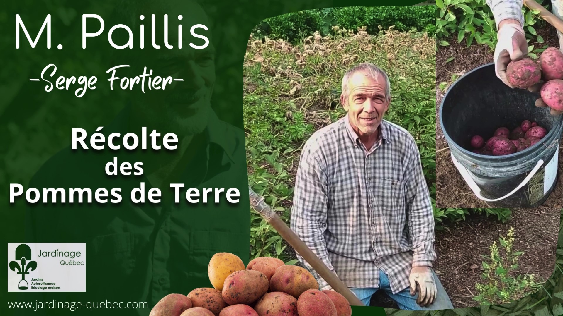 Pommes de terre