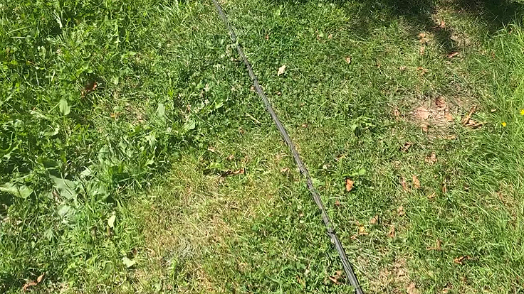 Boyau d'arrosage amenant l'eau au baril plus bas