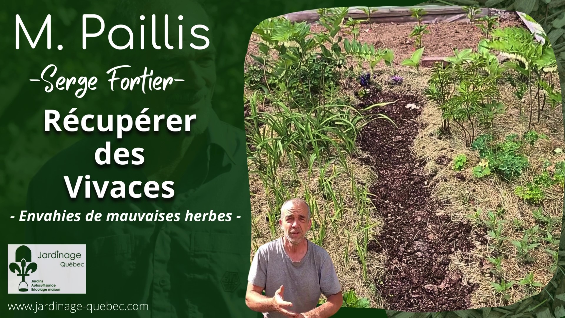 Récupérer des Vivaces dans la mauvaise herbe