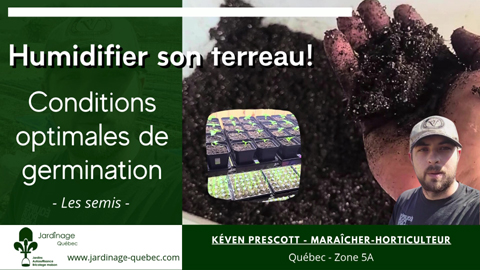 Humidifier le terreau pour les semis