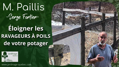 Éloigner les ravageurs à poils du jardin - Le secret